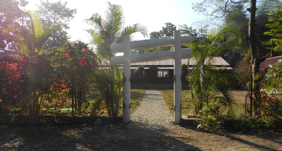 Gorumara Jungle Resort, Jalpaiguri 5